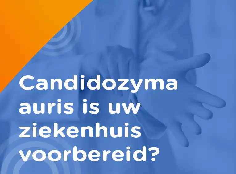 Candidozyma auris