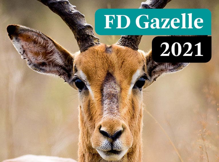 FD Gazelle 2021