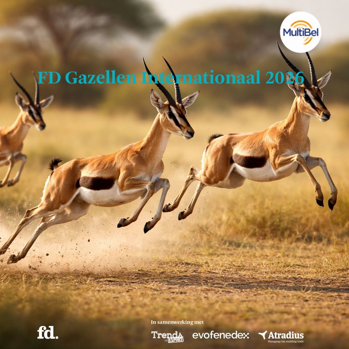 FD Gazellen International 2026